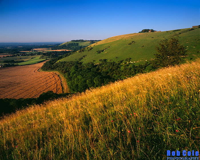 A summer evening view along the Fulking escarpment towards Devil